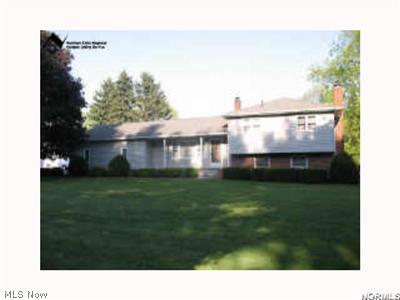 9902 Infirmary Road Mantua, OH 44255 - Photo 1 of 1 Gallery Image 1