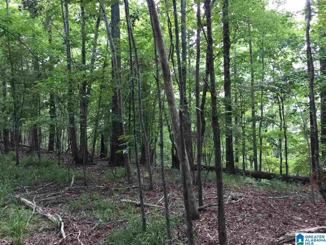 2364 Grants Mill Road Birmingham, AL 35210 - Photo 4 of 17