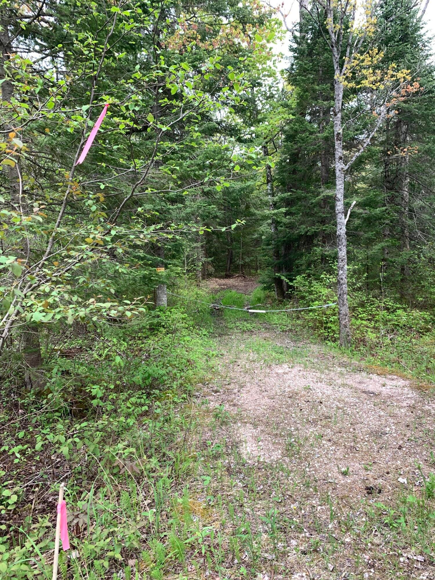 Walker Road Moran, MI 49760 - Photo 3 of 40 Gallery Image 3