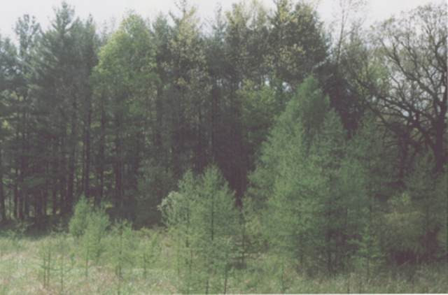 70-acres North Parma Road Parma, MI 49269 - Photo 1 of 5 Photo 1