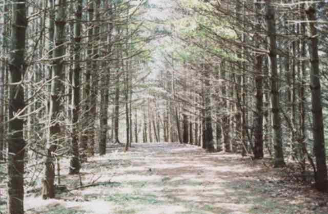 70-acres North Parma Road Parma, MI 49269 - Photo 2 of 5 Photo 2