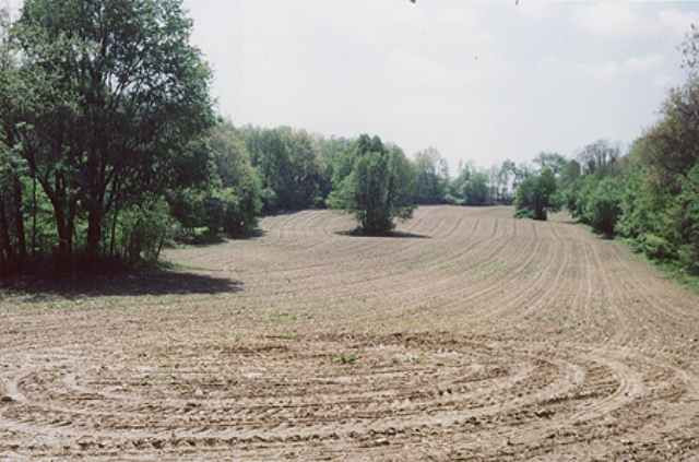 70-acres North Parma Road Parma, MI 49269 - Photo 4 of 5 Photo 4