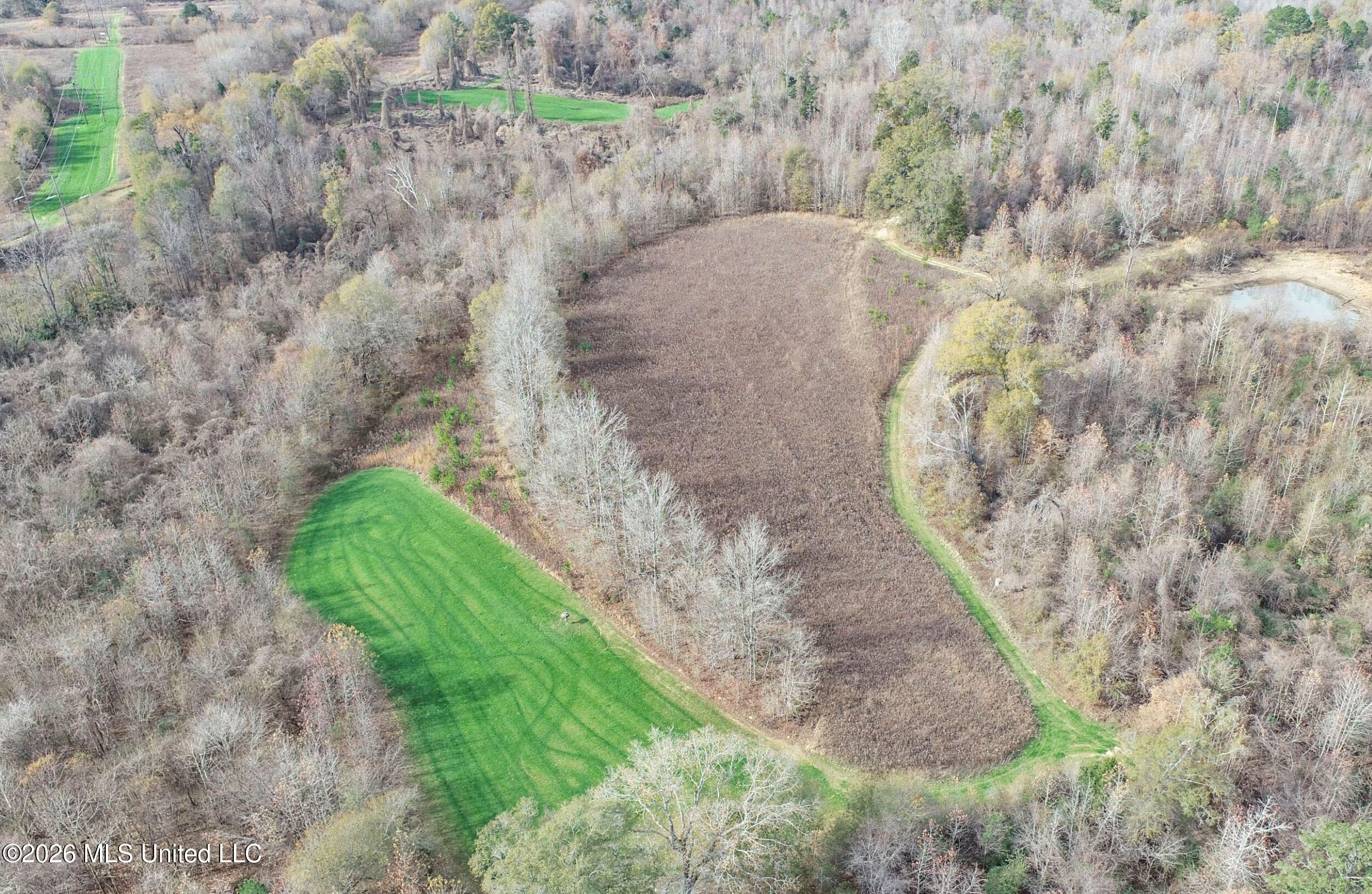 Chinqupin Road Lexington, MS 39095 - Photo 38 of 210 5chqpn25