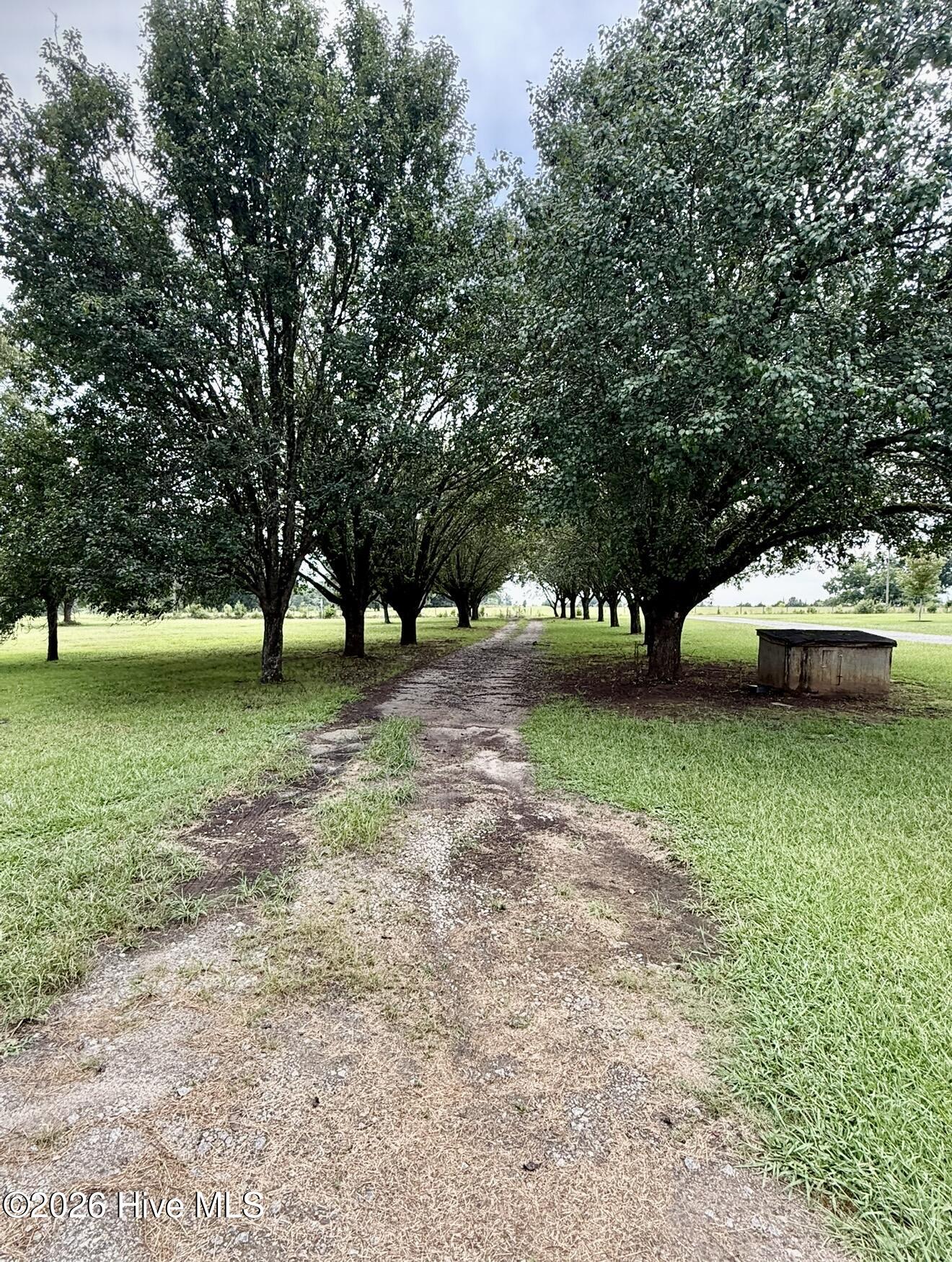 1951 Stagecoach Road Northeast Thomson, GA 30824 - Photo 12 of 13 Tree-Lined Driveway!