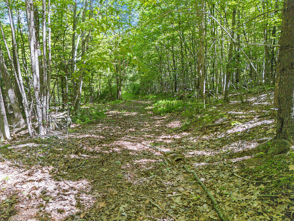 544 Whitefield Road Pittston, ME 04345 - Photo 65 of 78