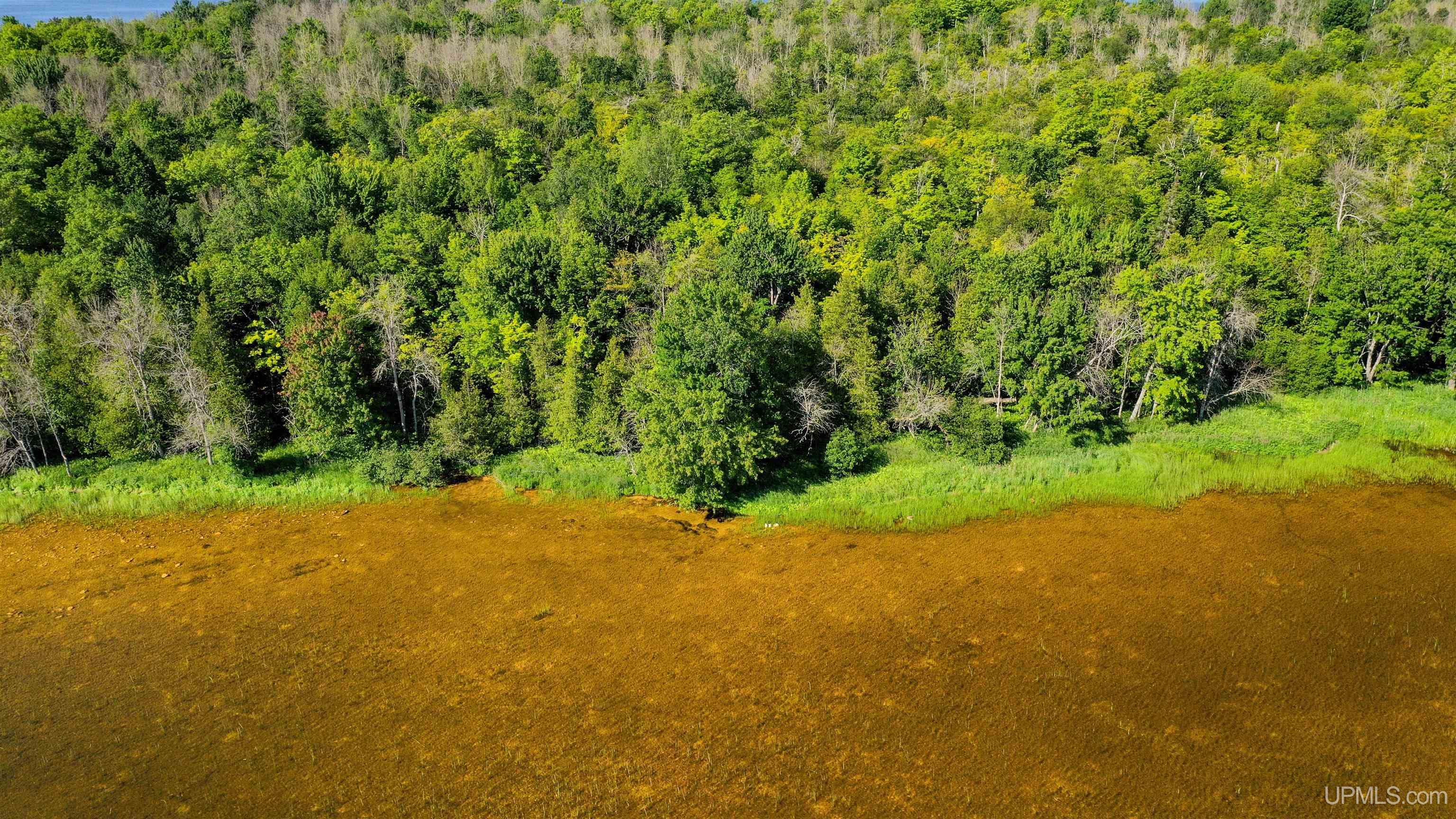 Tbd Neazor Point Road South Germfask, MI 49836 - Photo 4 of 27 Gallery Image 4