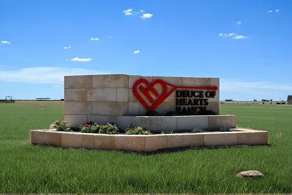 a view of a garden with a bench in a back yard