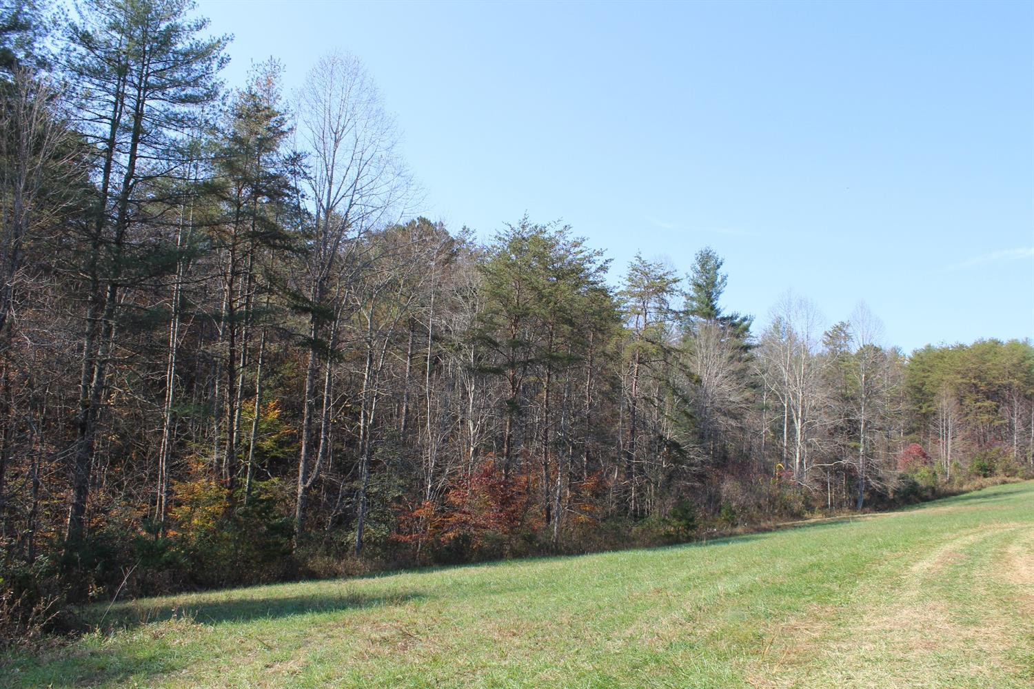 3600 Sandy Ridge Road Campton, KY 41301 - Photo 19 of 30 Photo 19