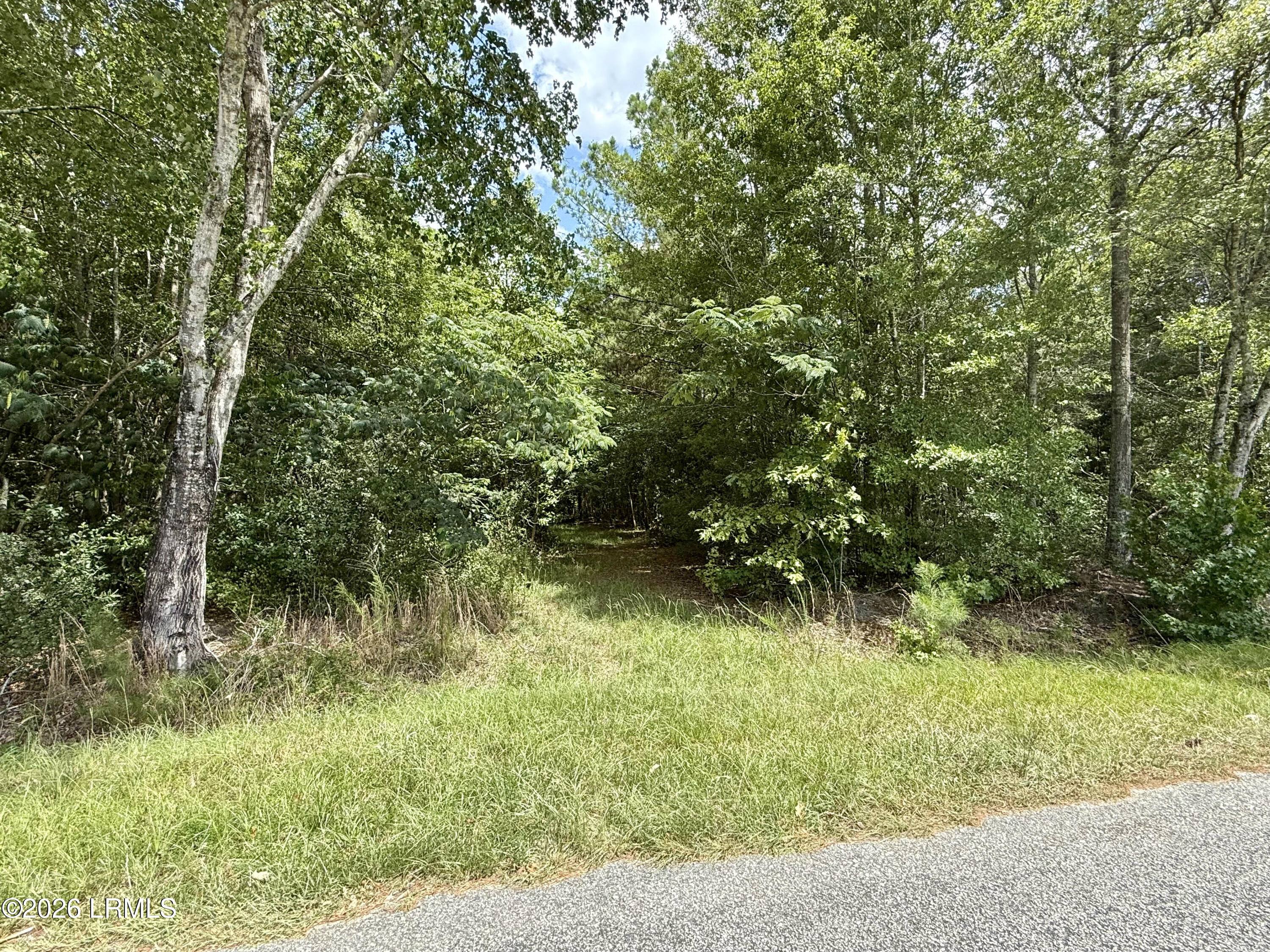 Tbd Cohen Road Pineland, SC 29934 - Photo 2 of 5 IMG_0414
