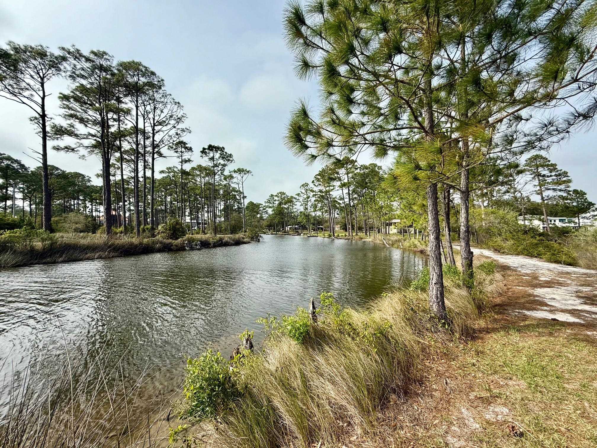 308 West 12th Avenue Gulf Shores, AL 36542 - Photo 32 of 41