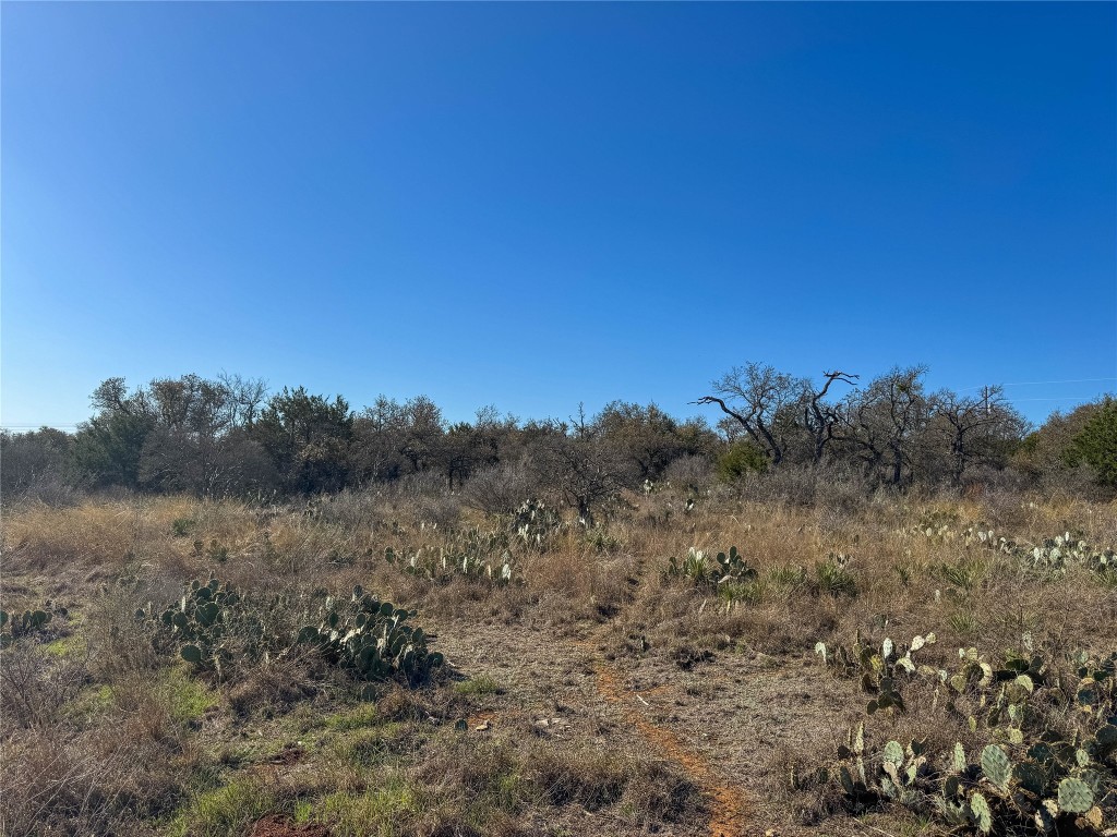 Lot 20 Comanche Ridge Round Mountain, TX 78663 - Photo 25 of 34