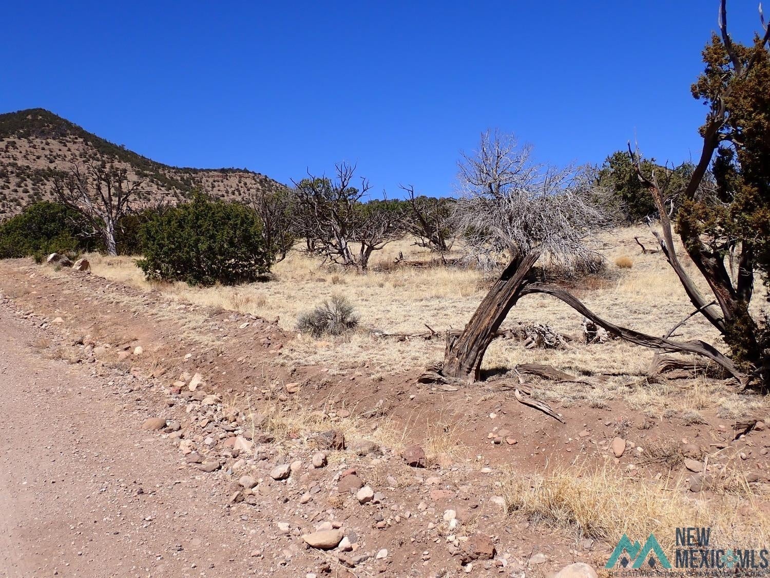 Tanglewood Datil, NM 87821 - Photo 7 of 15 Gallery Image 7