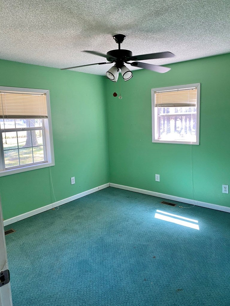 1605 Mussel White Store Road Lenox, GA 31637 - Photo 18 of 24 Gallery Image 18