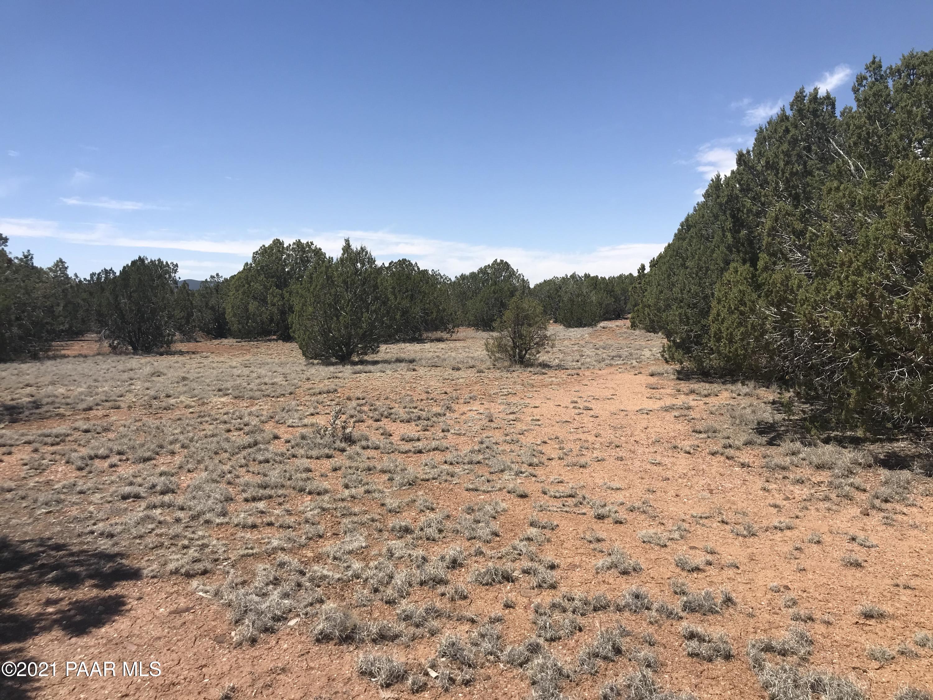 37526 West Howling Coyote Road Seligman, AZ 86337 - Photo 54 of 56 IMG_1758