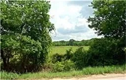 a view of a lush green outdoor space with a lake view