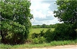 a view of a lush green outdoor space with a lake view