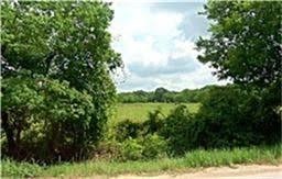 4147 Fuqua Street Houston, TX 77047 - Photo 2 of 11 a view of a lush green forest
