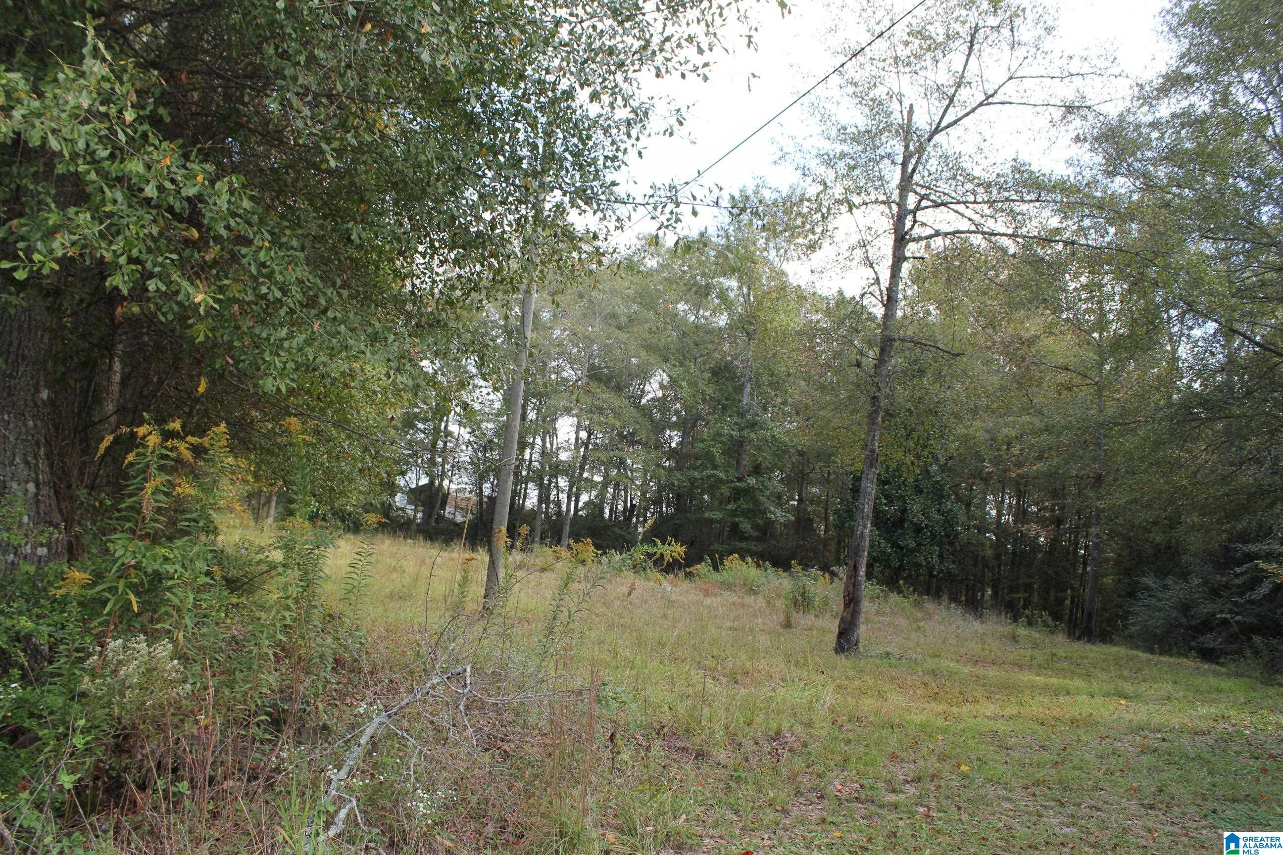 0 Highway 191 Jemison, AL 35085 - Photo 4 of 5