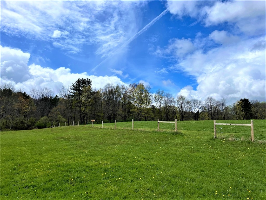 8361 Lockwood Road Caneadea, NY 14717 - Photo 35 of 49