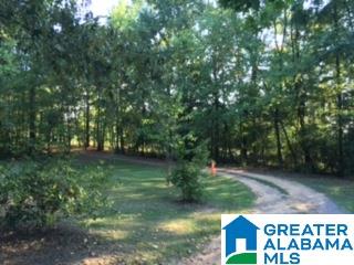 4585 Greathouse Road Dora, AL 35062 - Photo 11 of 15