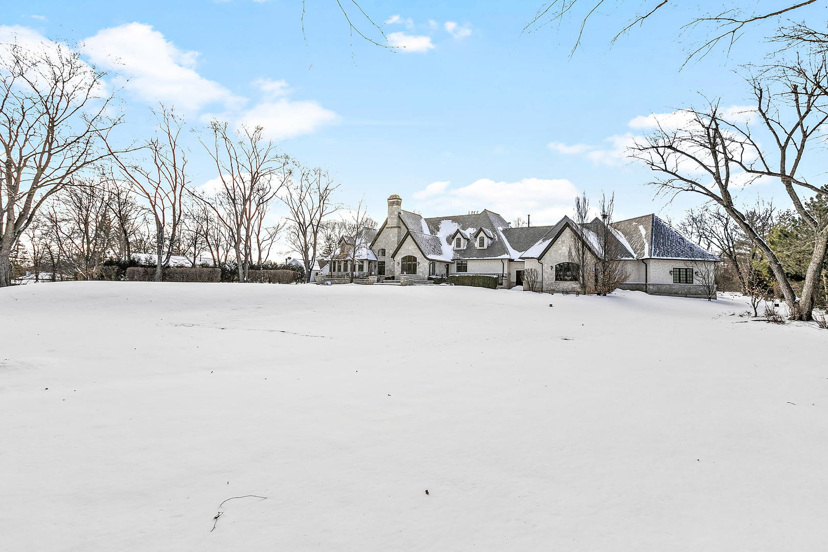 217 North Haman Road Inverness, IL 60010 - Photo 50 of 61 a view of yard covered with snow