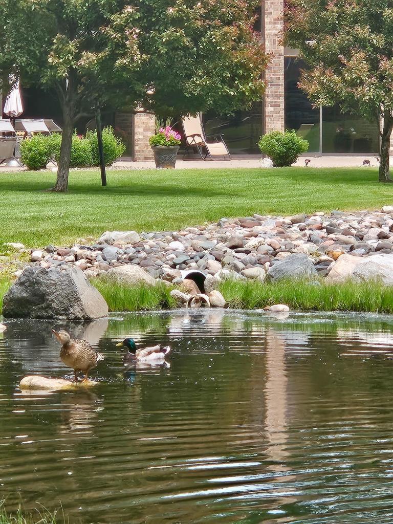 2240 Midland Grove Road, Unit 201 Roseville, MN 55113 - Photo 28 of 31