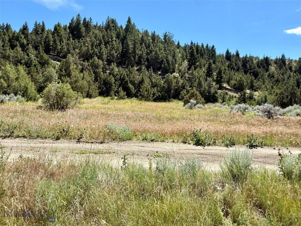 Lot 290 Broken Creek Road Three Forks, MT 59752 - Photo 10 of 22 Gallery Image 10
