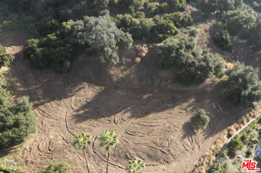 1037 East Becklee Road Glendora, CA 91741 - Photo 3 of 6 a view of a yard with a tree