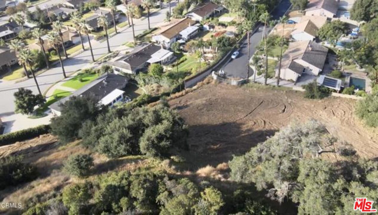 1037 East Becklee Road Glendora, CA 91741 - Photo 6 of 6 a view of a yard with plants and large trees