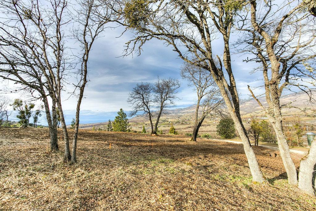 0 Ashland Mine Road Ashland, OR 97520 - Photo 14 of 21 Additional Photo
