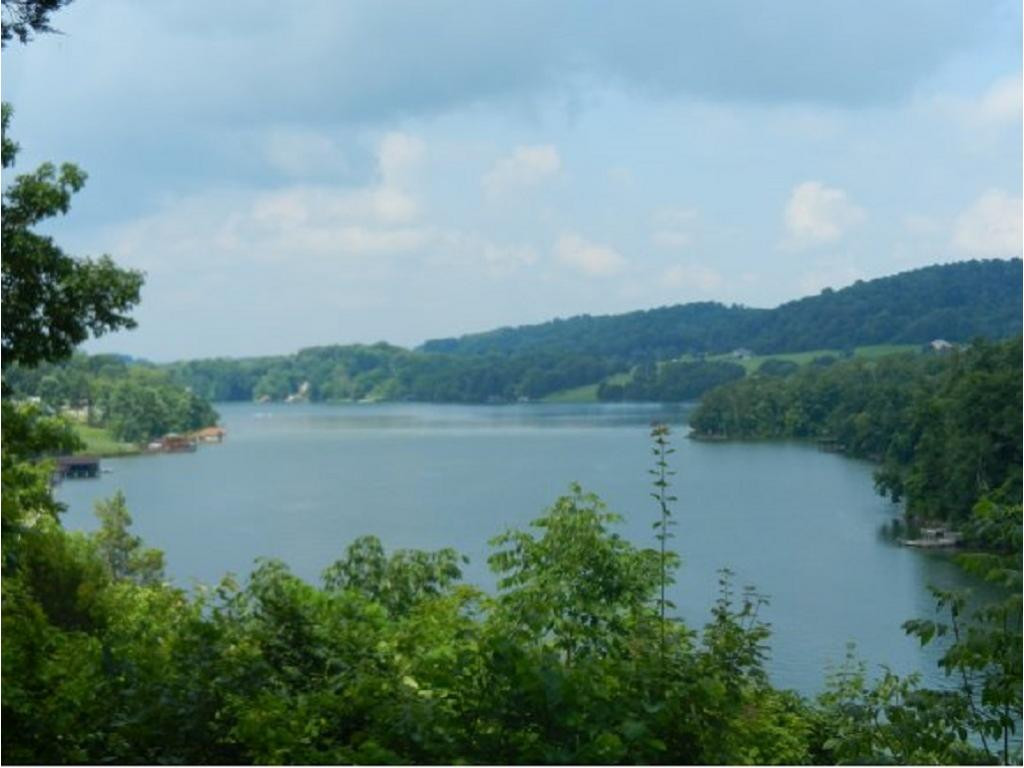 0 Summer Sound Road Piney Flats, TN 37686 - Photo 4 of 7 Photo 4