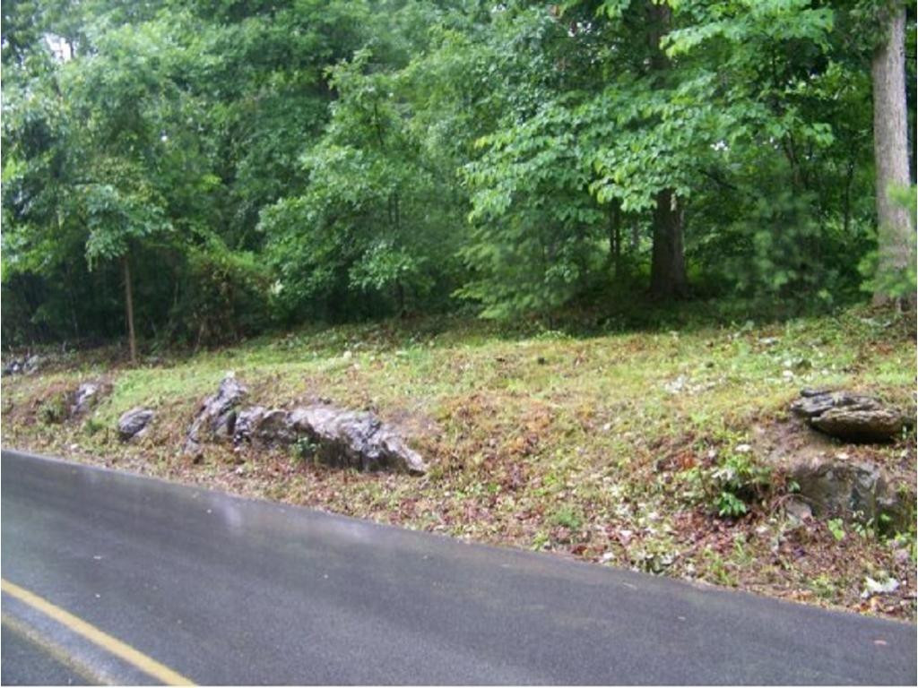 0 Summer Sound Road Piney Flats, TN 37686 - Photo 5 of 7 Photo 5