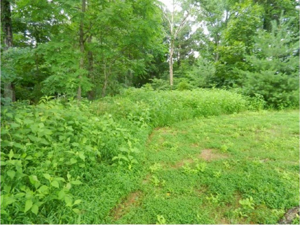 0 Summer Sound Road Piney Flats, TN 37686 - Photo 7 of 7 Photo 7