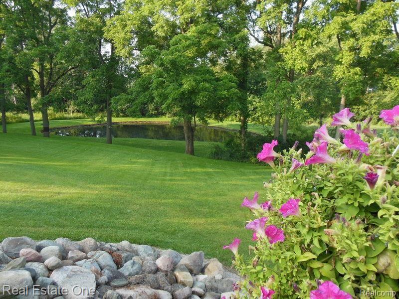 10155 Roberts Road Gregory, MI 48137 - Photo 48 of 89 Beautiful park like property.