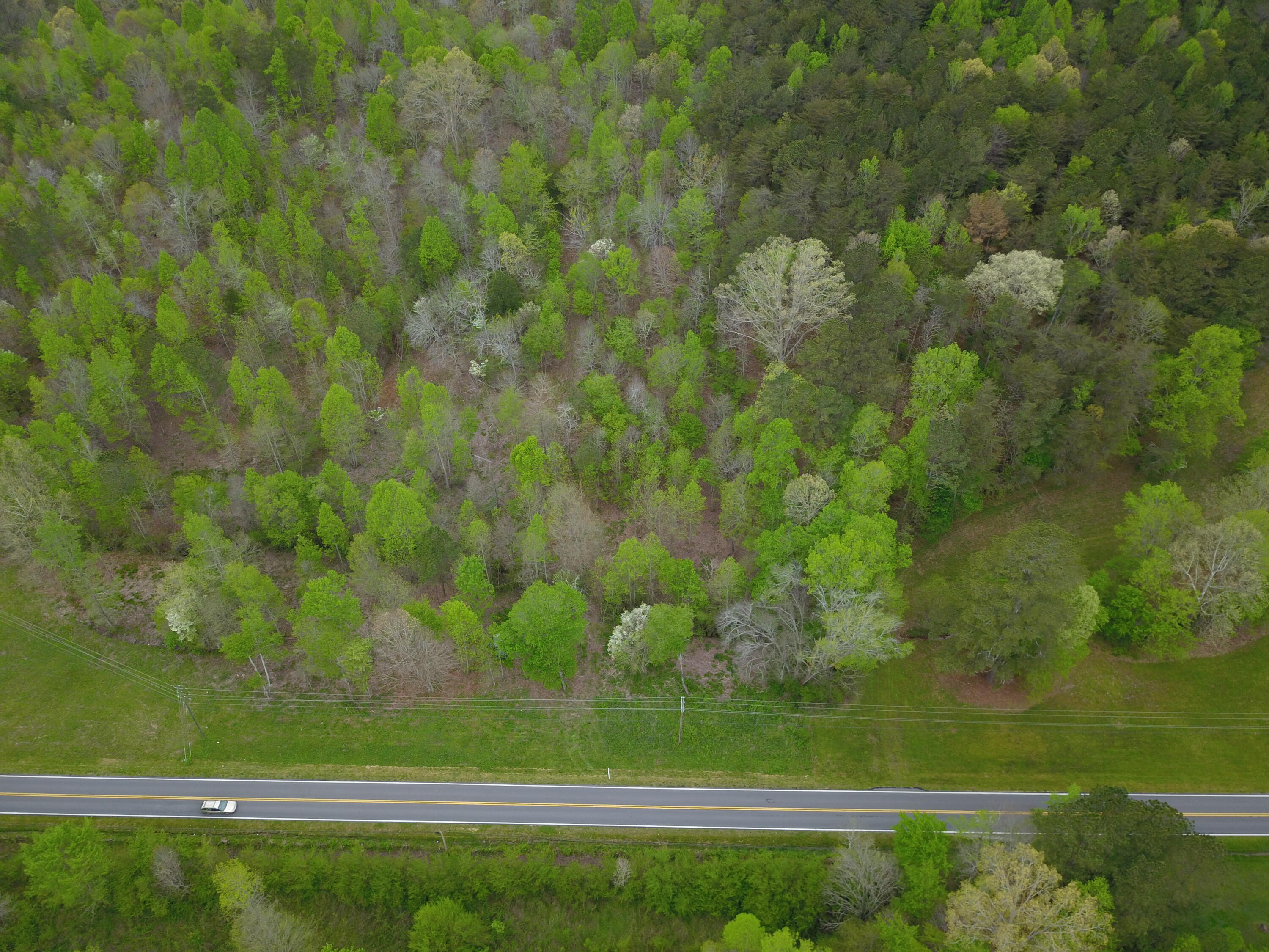 595 Salem Valley Road Ringgold, GA 30736 - Photo 1 of 6 DJI_0007