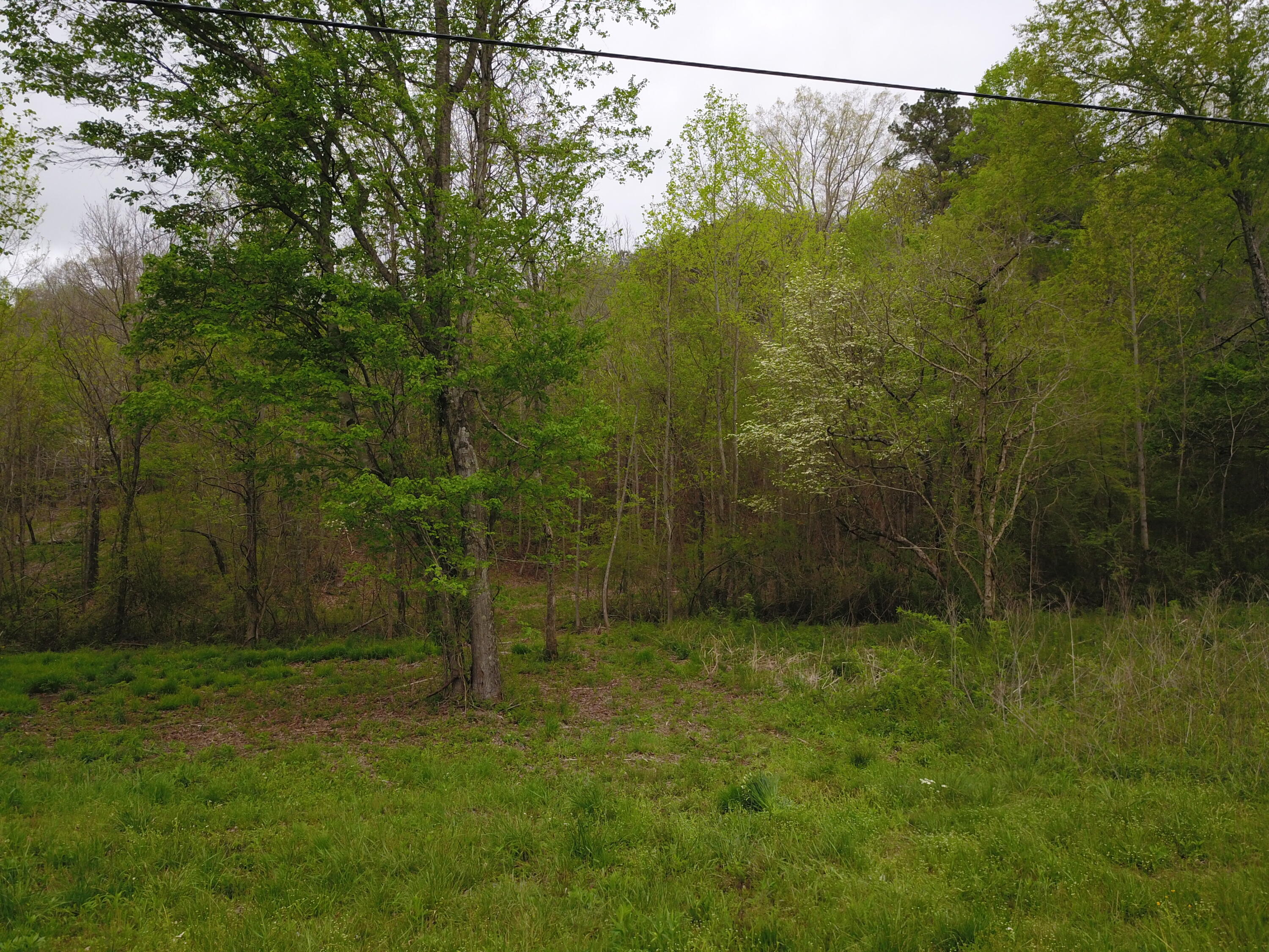 595 Salem Valley Road Ringgold, GA 30736 - Photo 3 of 6 DJI_0004