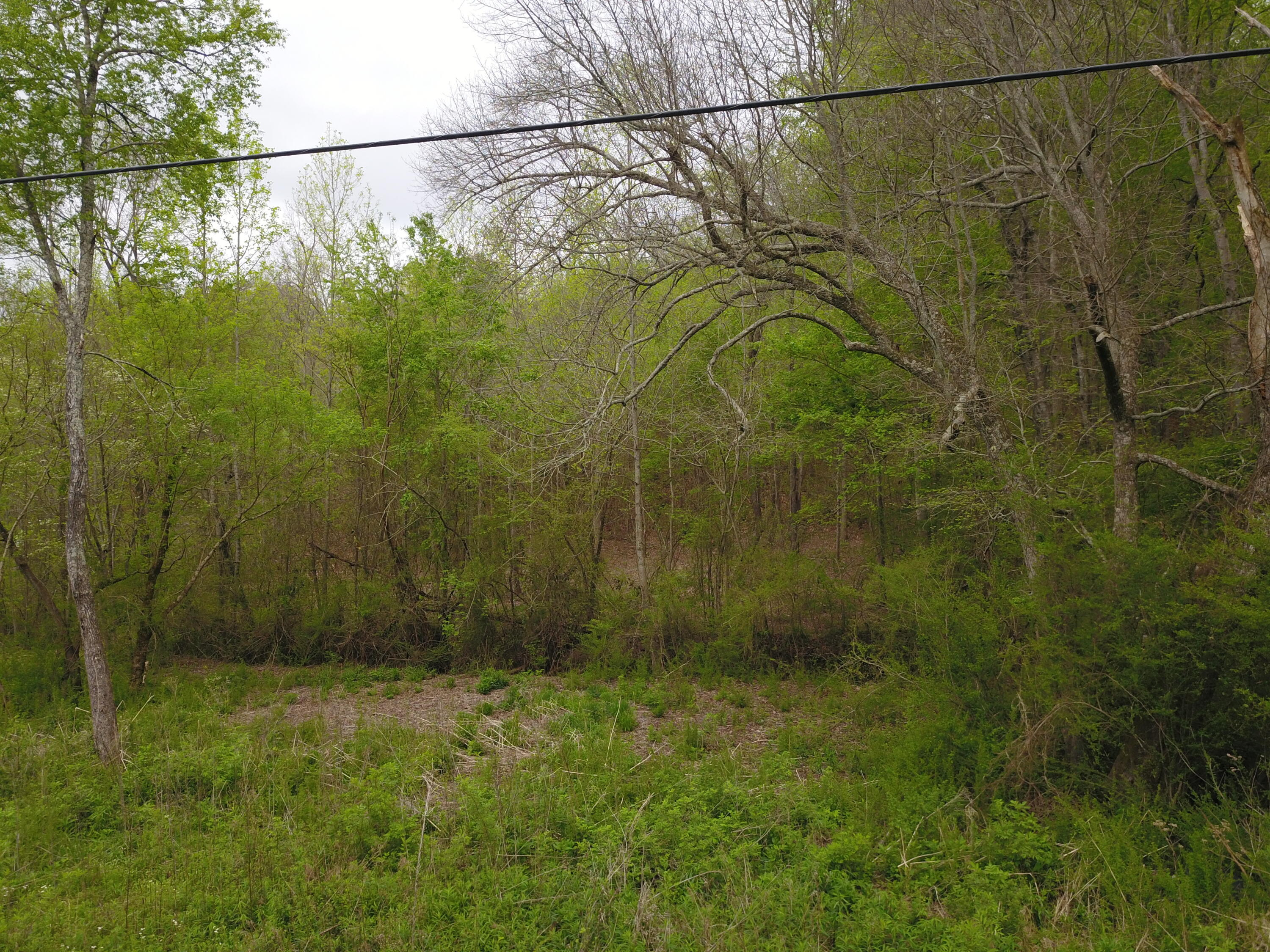 595 Salem Valley Road Ringgold, GA 30736 - Photo 4 of 6 DJI_0005