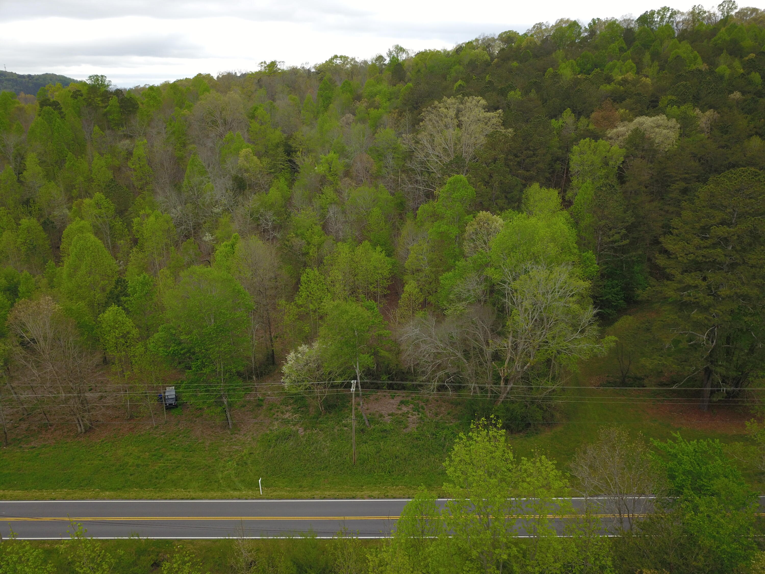 595 Salem Valley Road Ringgold, GA 30736 - Photo 5 of 6 DJI_0006
