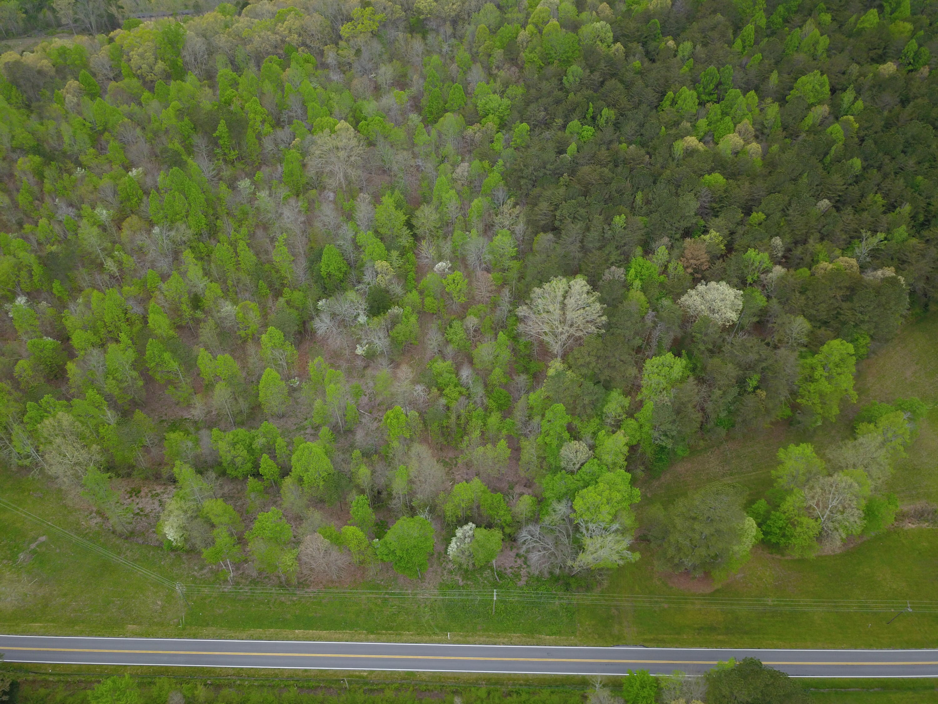 595 Salem Valley Road Ringgold, GA 30736 - Photo 6 of 6 DJI_0008