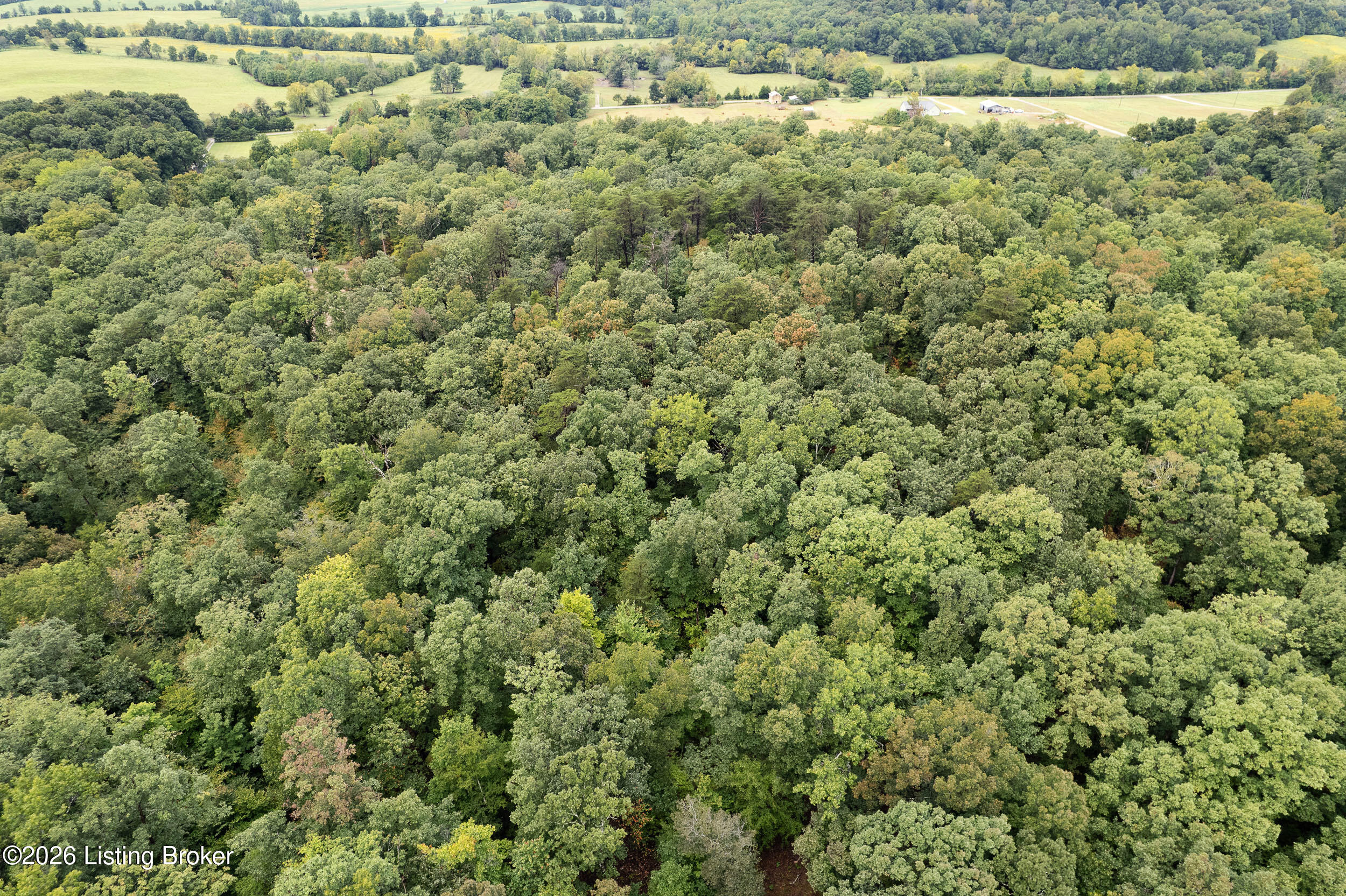 550 Wilson Creek Road Boston, KY 40107 - Photo 11 of 15 550WilsonCreekRd-5