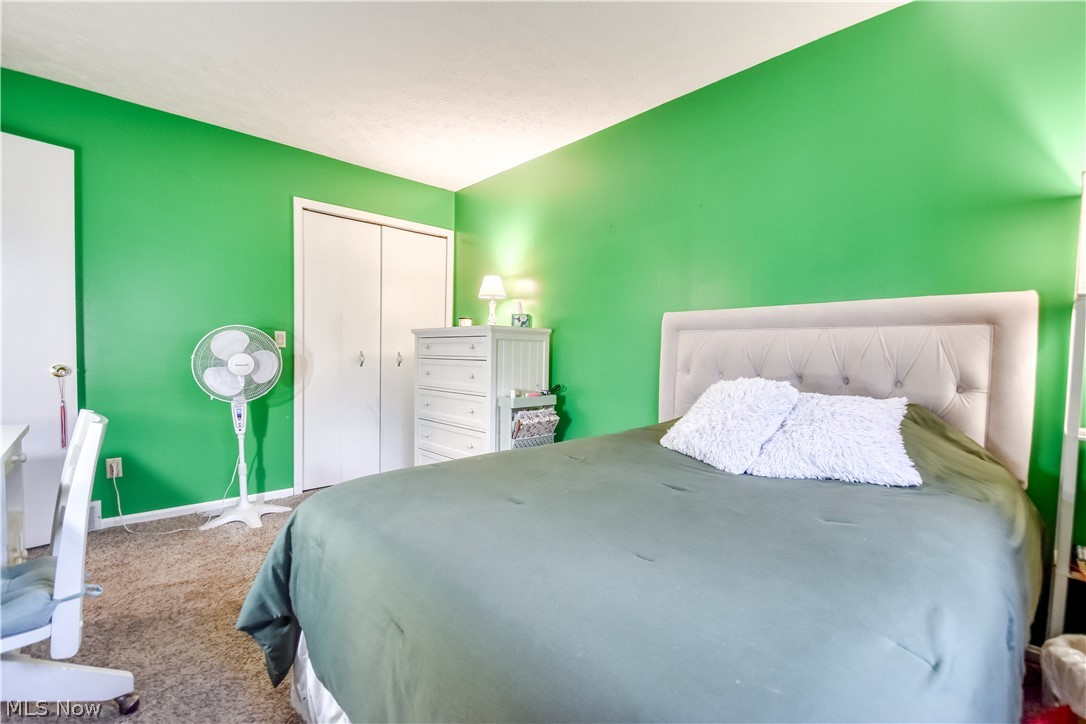 3872 Green Street Perry, OH 44081 - Photo 21 of 40
