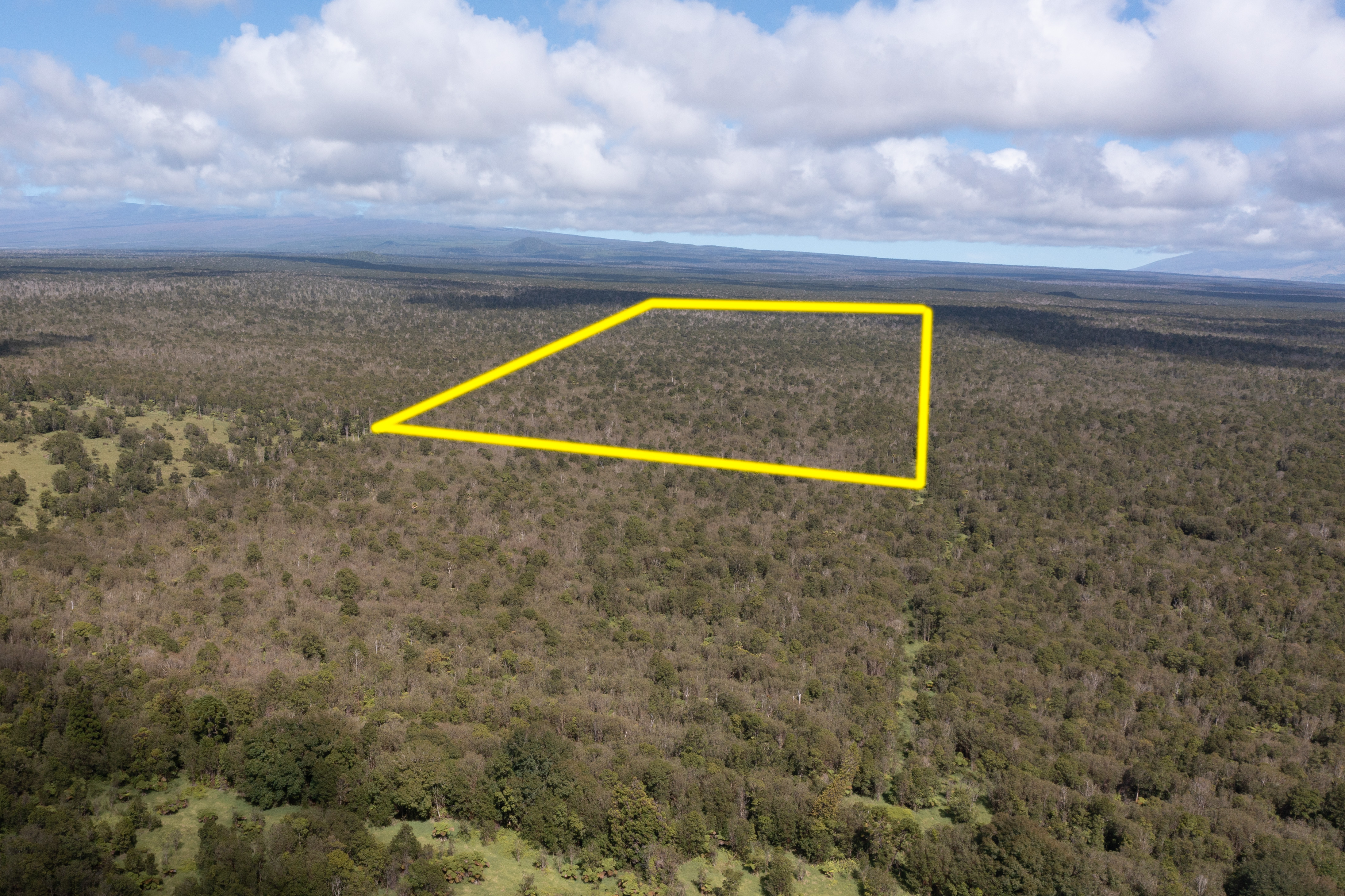 355-356 South Glenwood Road Mountain View, HI 96771 - Photo 3 of 10 a view of a field