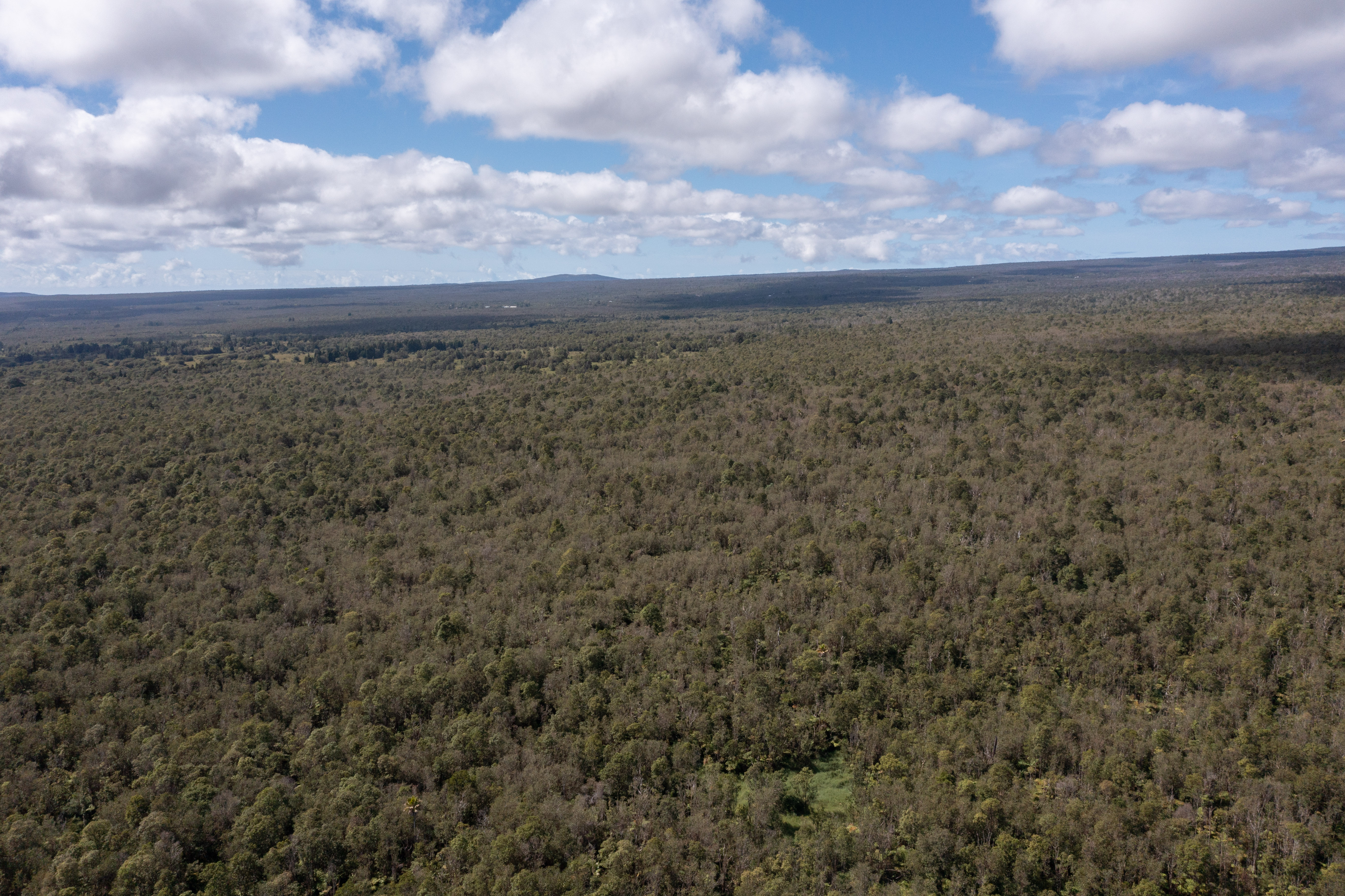 355-356 South Glenwood Road Mountain View, HI 96771 - Photo 7 of 10 a view of a field