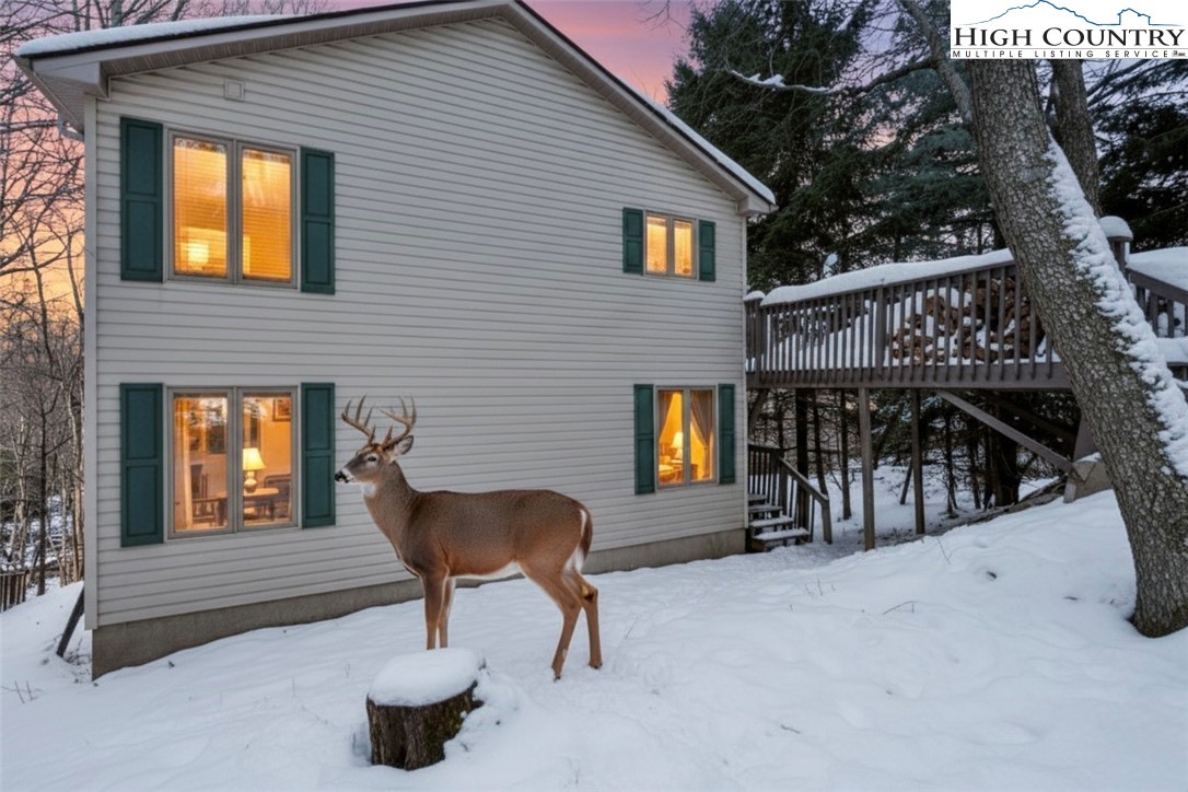 101 Doe Lane Beech Mountain, NC 28604 - Photo 1 of 31