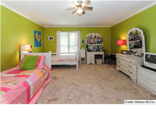 378 Shadow Stone Lane Oneonta, AL 35121 - Photo 15 of 22