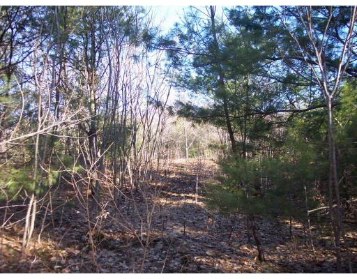 17 Ed Clark Road Colrain, MA 01340 - Photo 1 of 1