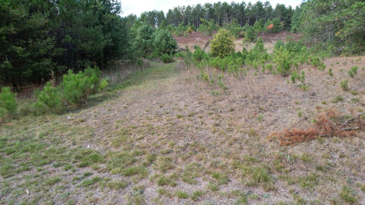 On Forest Road, Unit 1 9 AC Tomahawk, WI 54487 - Photo 9 of 19 Gallery Image 9