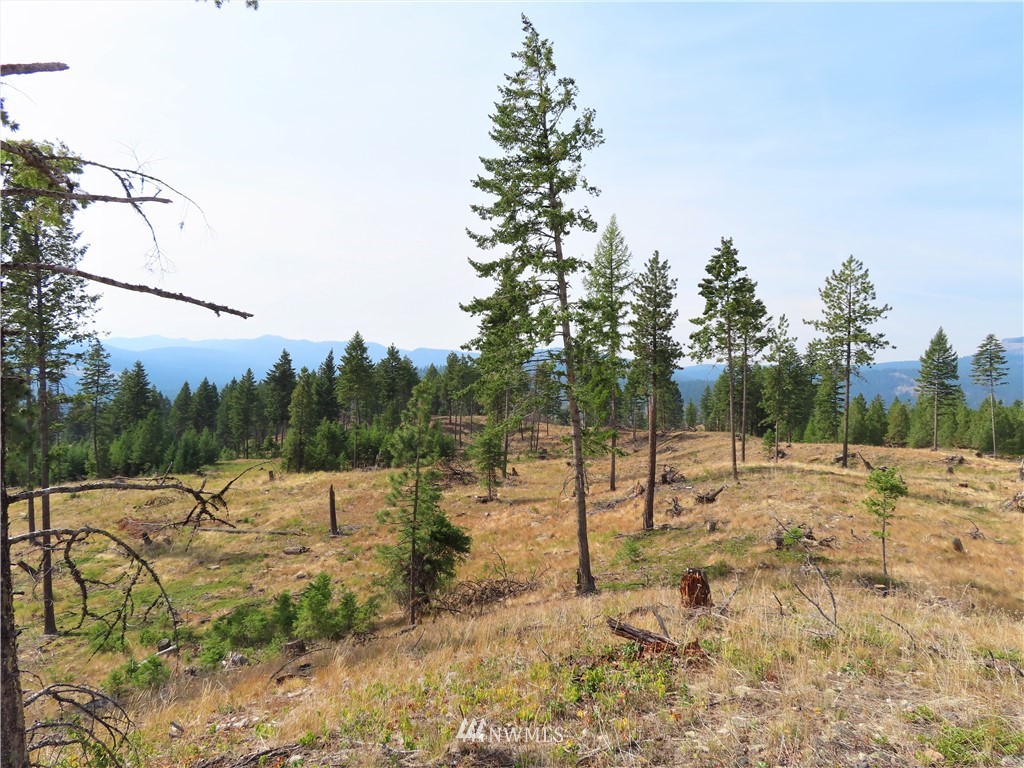 10 Roy Road Republic, WA 99166 - Photo 1 of 12