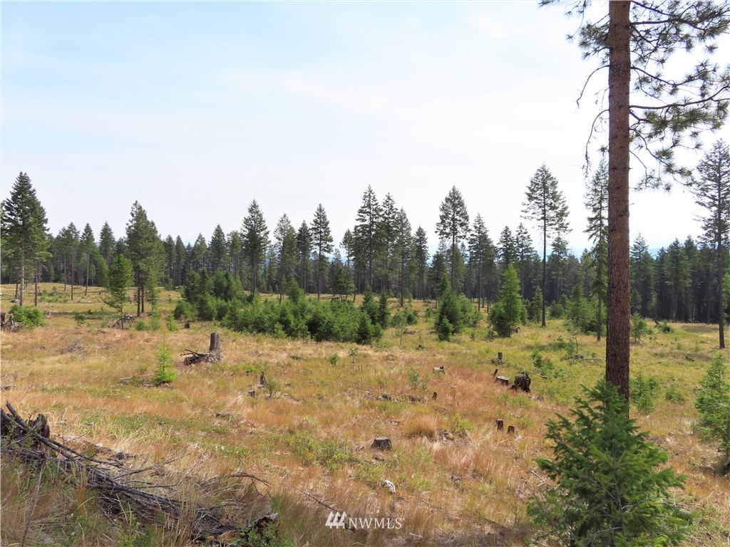 10 Roy Road Republic, WA 99166 - Photo 11 of 12