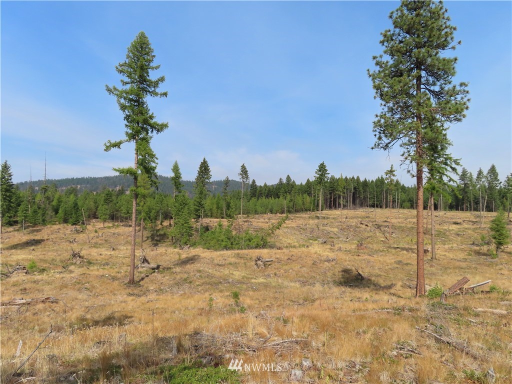 10 Roy Road Republic, WA 99166 - Photo 4 of 12